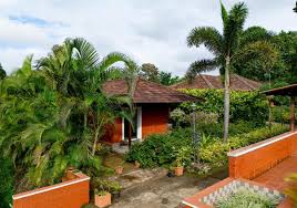 The Clover Resort View